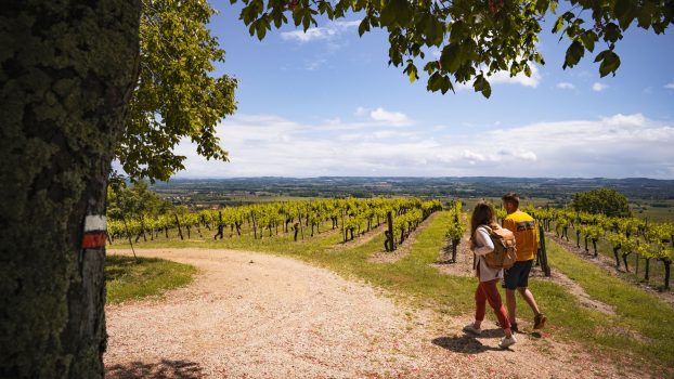 randonnee-dans-les-vignes-entre2poles-1600x900